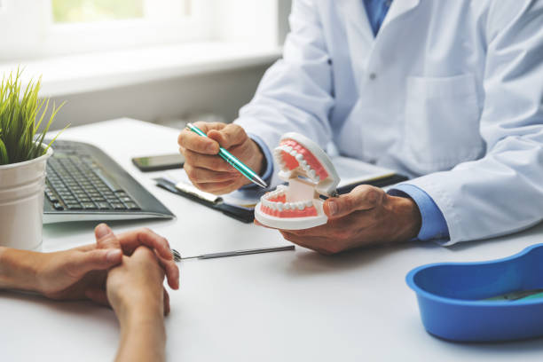  Brookfield, IL Holistic Dental Services Pros